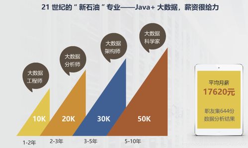 Java与大数据 哪个更值得学？——CSDN版大数据技术开发指南